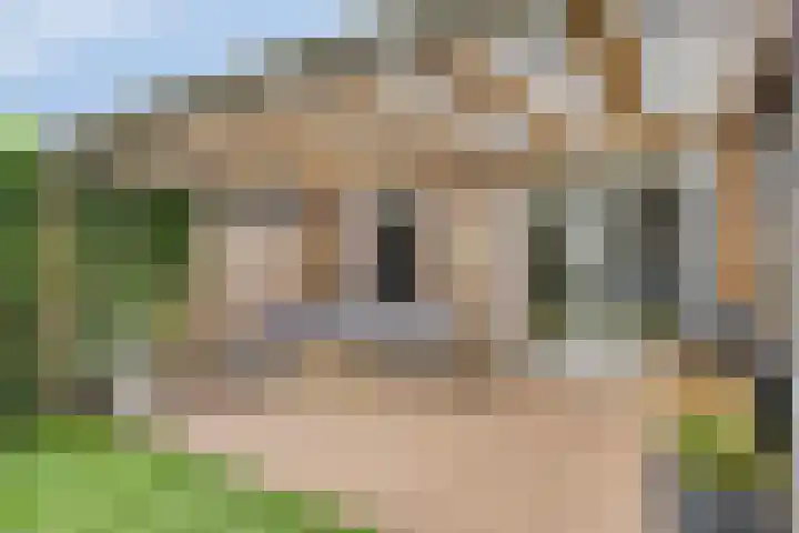 Oranjestraat 1 C Nuenen thumbnail 28