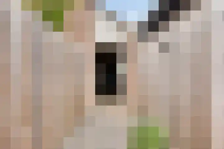 Oranjestraat 1 C Nuenen thumbnail 32