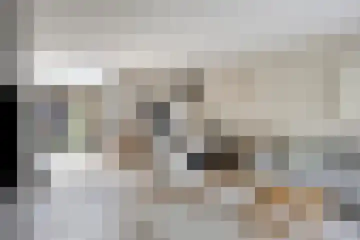 Oranjestraat 1 C Nuenen thumbnail 9