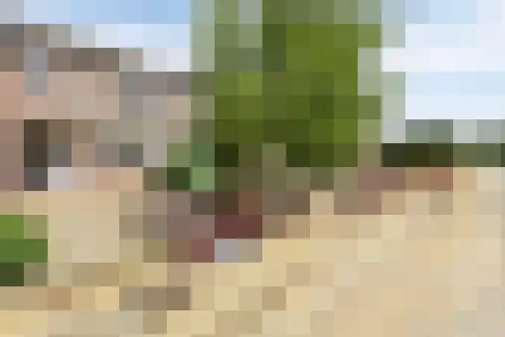 Oranjestraat 1 Hoensbroek thumbnail 25