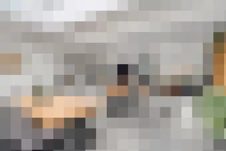 Oranjestraat 1 Nederweert thumbnail 12