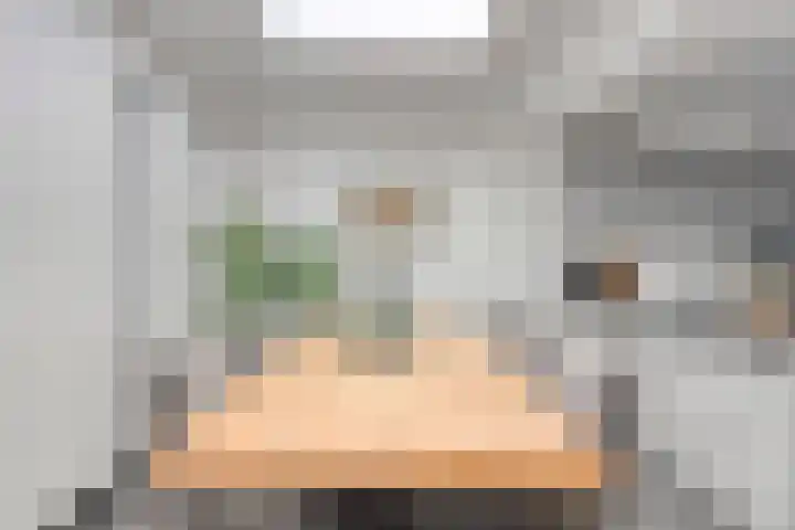 Oranjestraat 1 Nederweert thumbnail 14