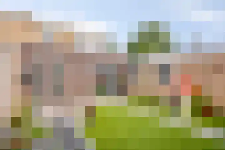 Oranjestraat 1 Nederweert thumbnail 36