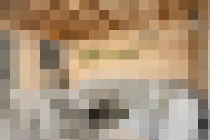 Oranjestraat 1 Nederweert thumbnail 37
