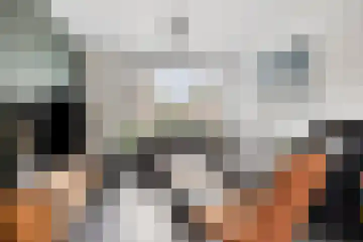 Oranjestraat 1 Nederweert thumbnail 8
