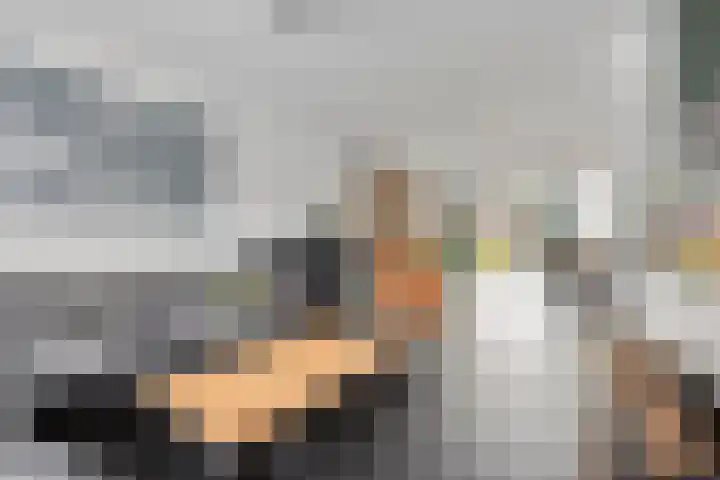 Oranjestraat 1 Nederweert thumbnail 9