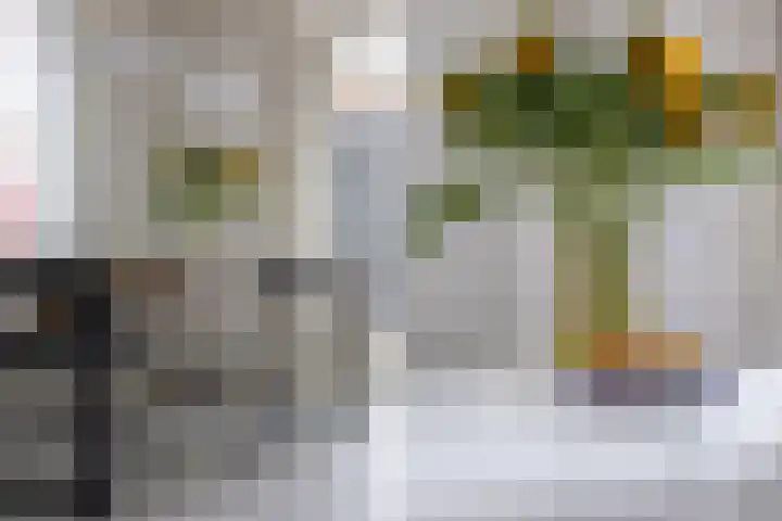 Oranjestraat 1 Purmerend thumbnail 18