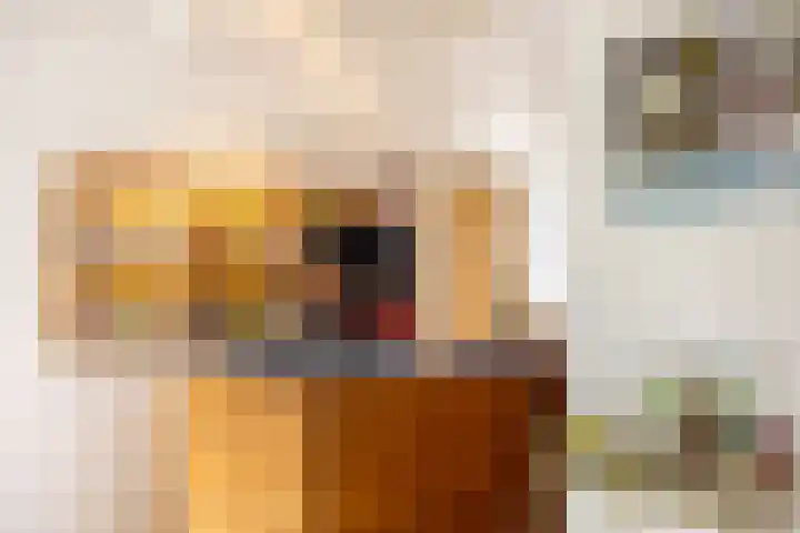 Oranjestraat 1 Purmerend thumbnail 19