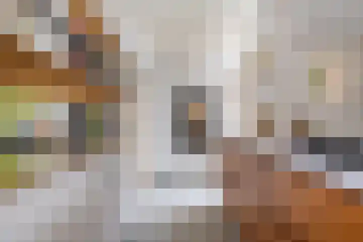 Oranjestraat 1 Purmerend thumbnail 21