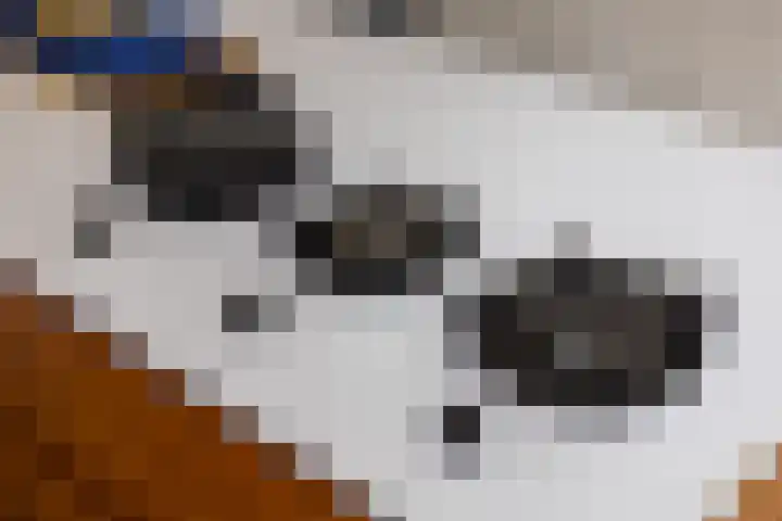Oranjestraat 1 Purmerend thumbnail 27