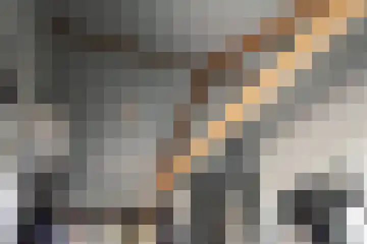 Oranjestraat 1 Purmerend thumbnail 41