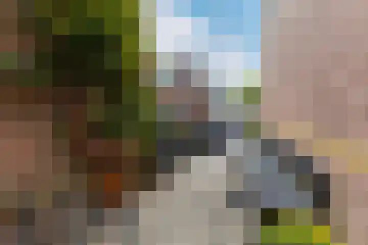 Oranjestraat 1 Purmerend thumbnail 45