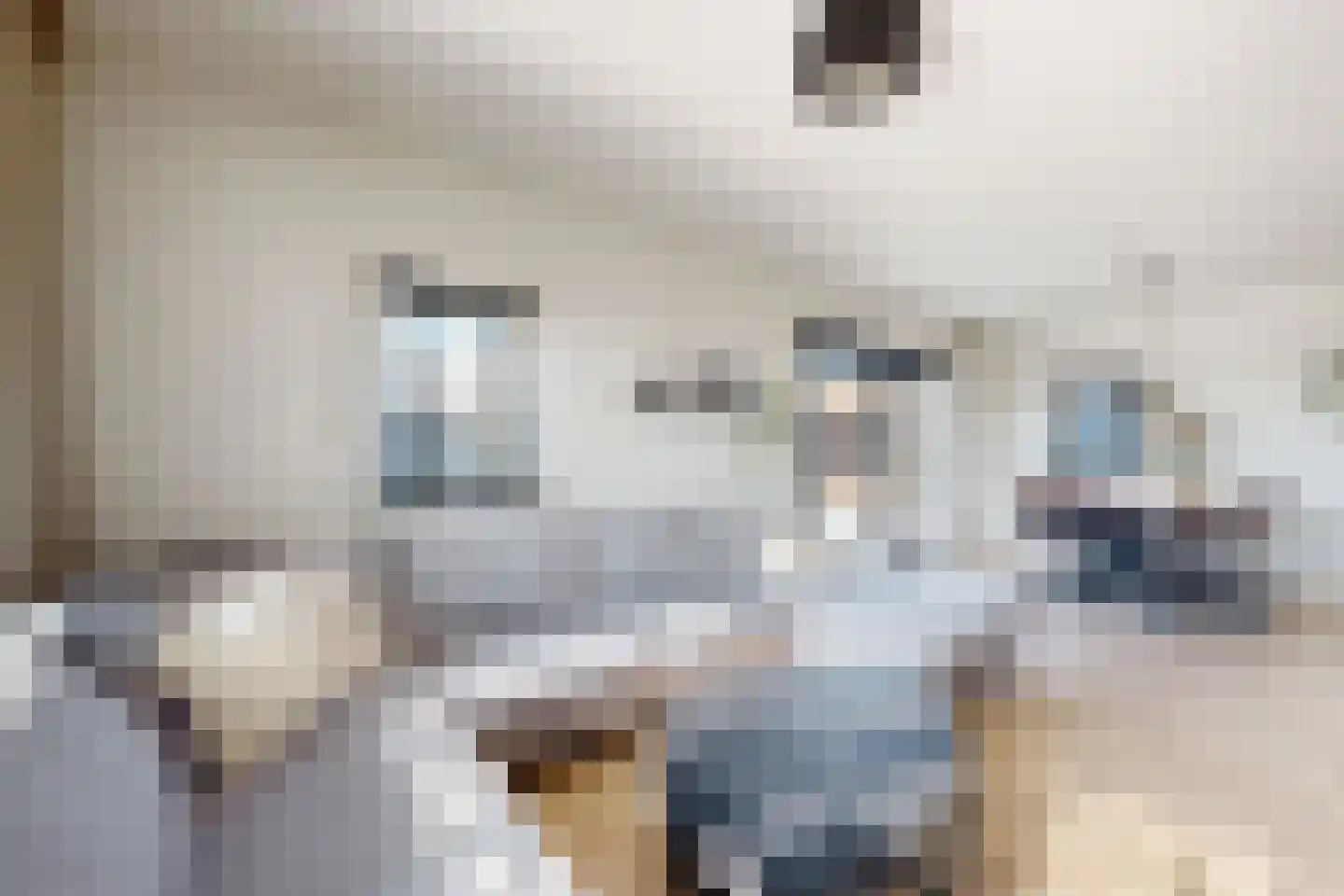 Oranjestraat 10 Klundert thumbnail 13