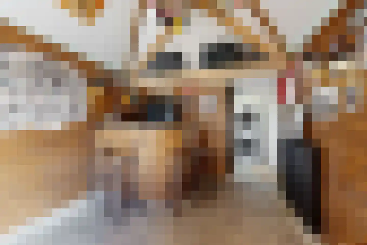 Oranjestraat 10 Klundert thumbnail 30
