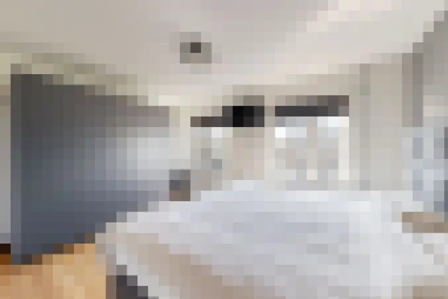 Oranjestraat 10 Klundert thumbnail 35