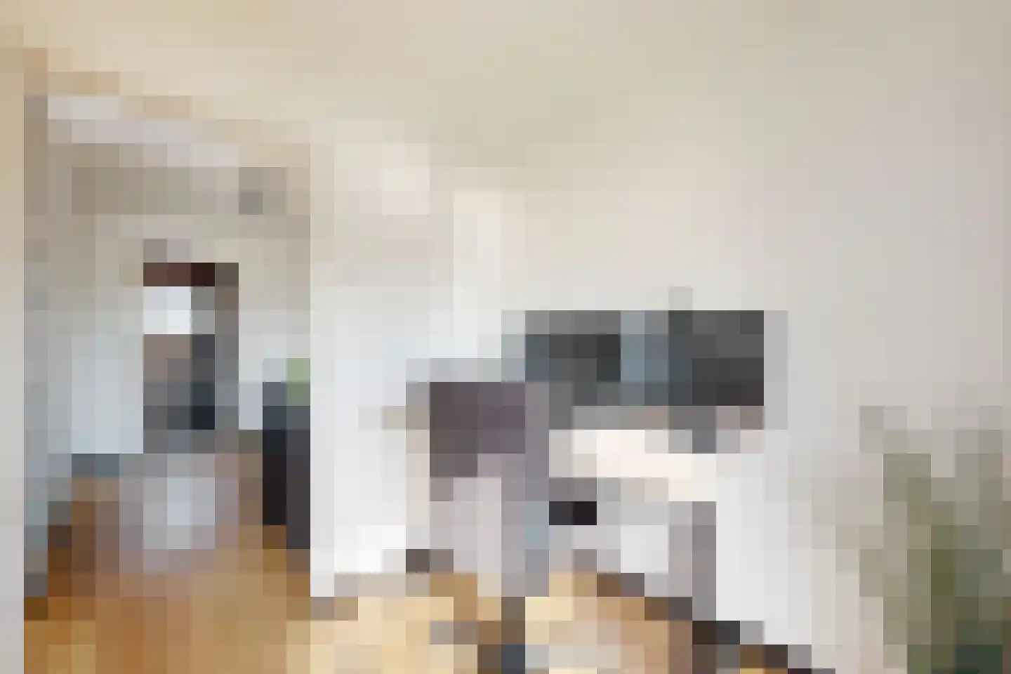 Oranjestraat 10 Klundert thumbnail 41