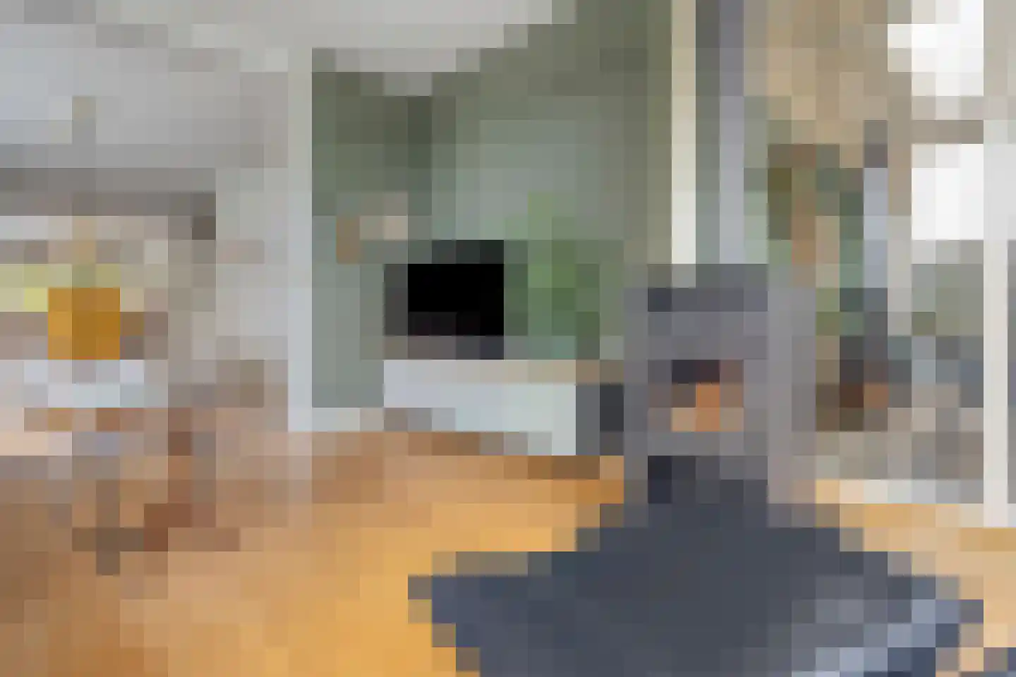 Oranjestraat 104 Best thumbnail 12