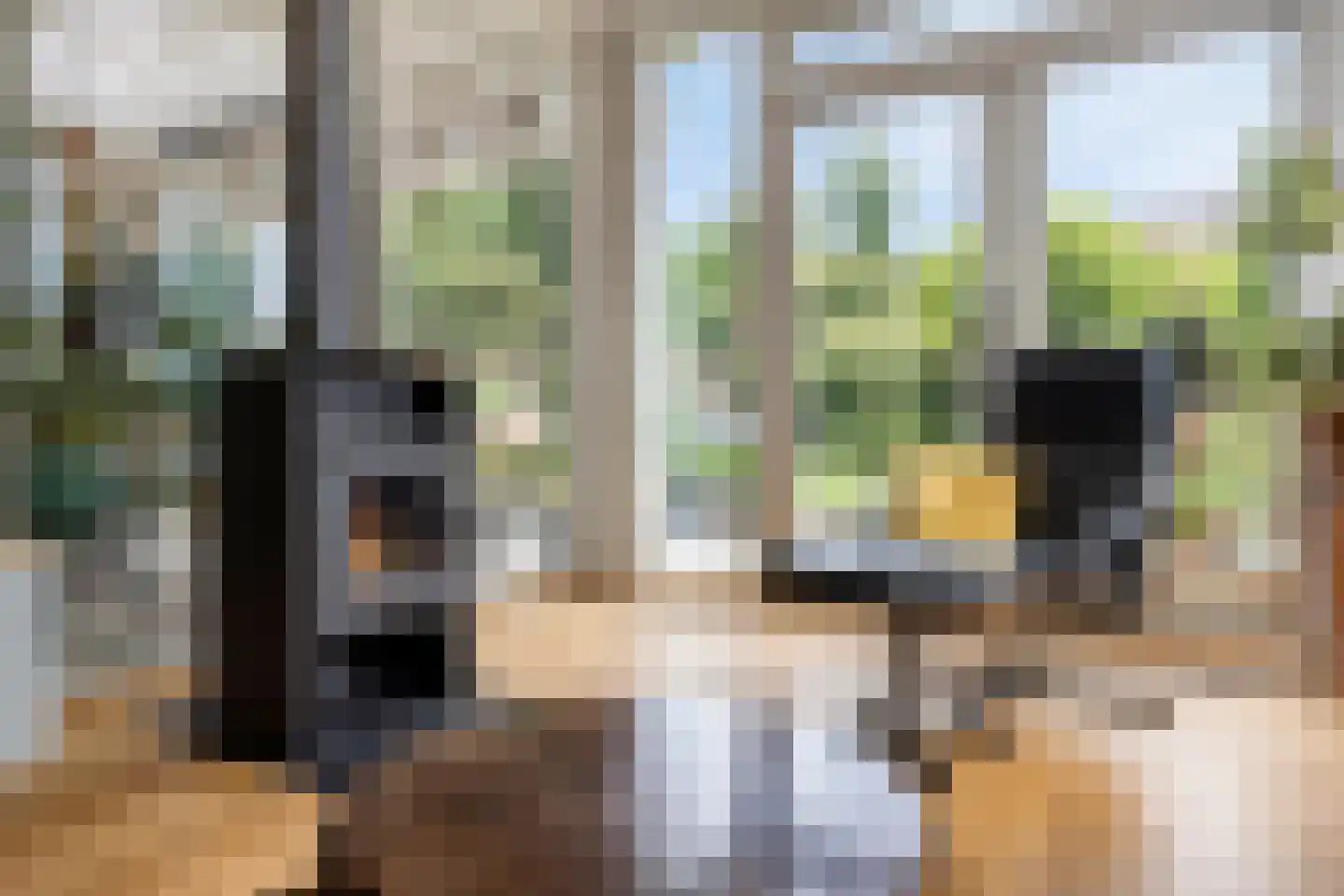 Oranjestraat 104 Best thumbnail 13