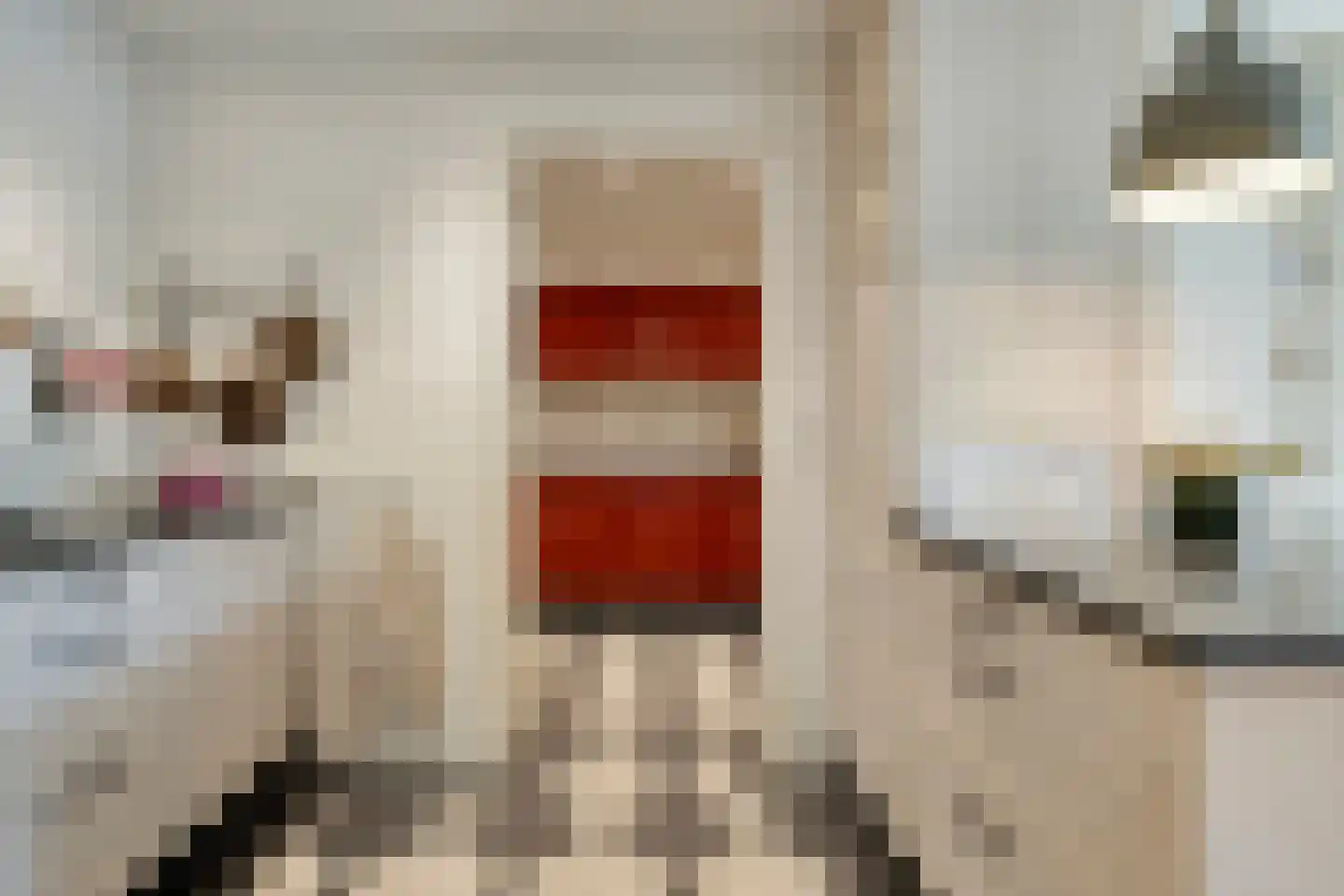Oranjestraat 104 Best thumbnail 18