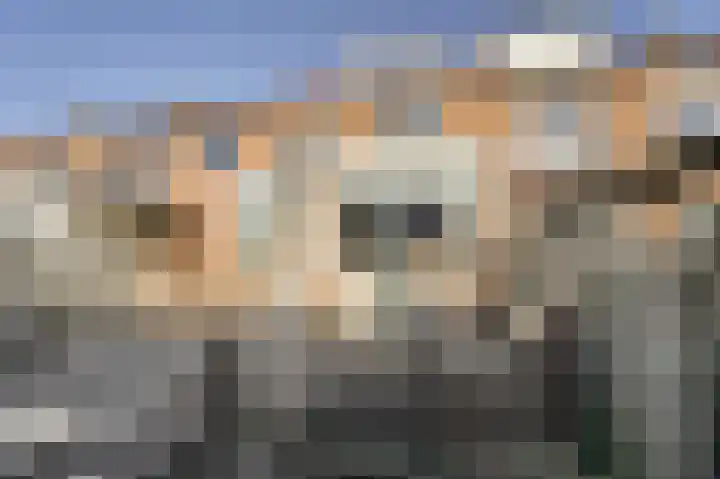 Oranjestraat 11 Katwijk thumbnail 30