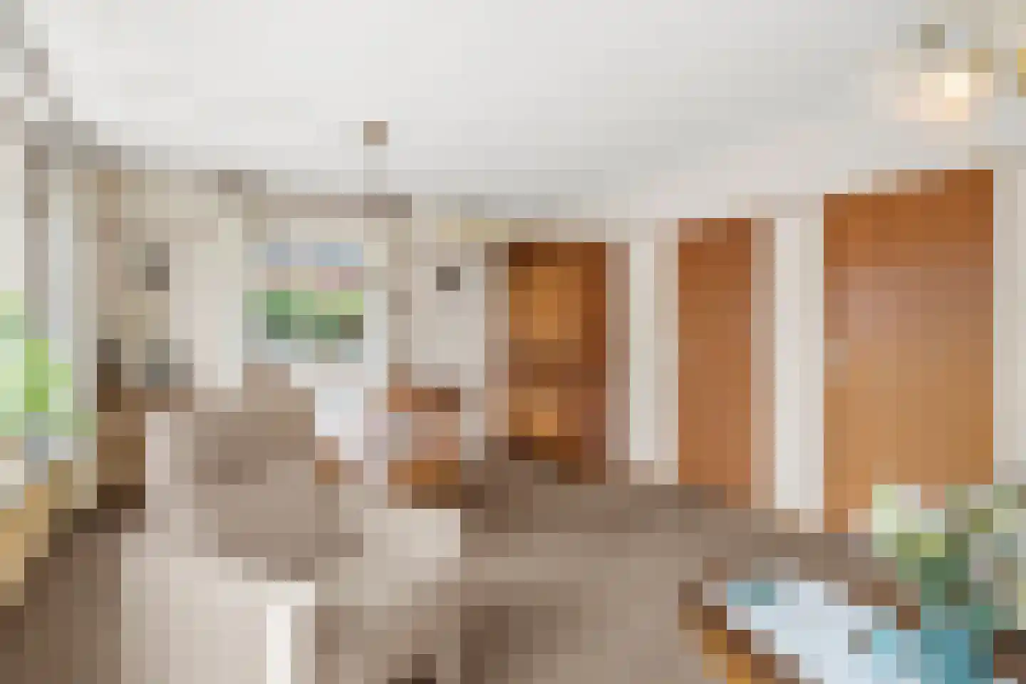 Oranjestraat 11 Lunteren thumbnail 9