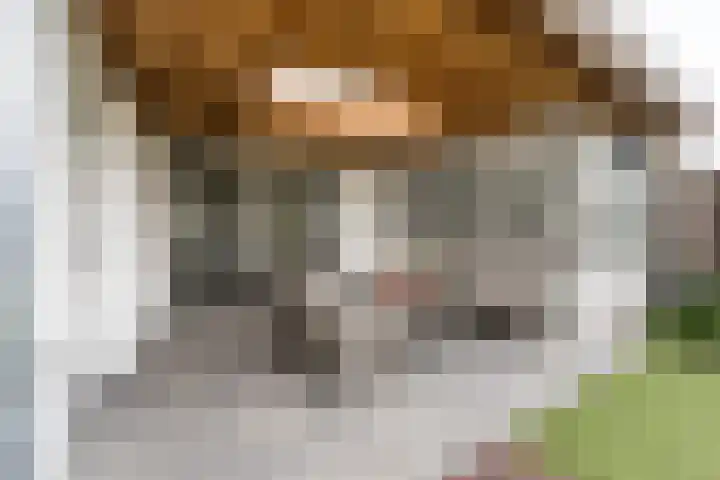 Oranjestraat 11 Nederweert thumbnail 33