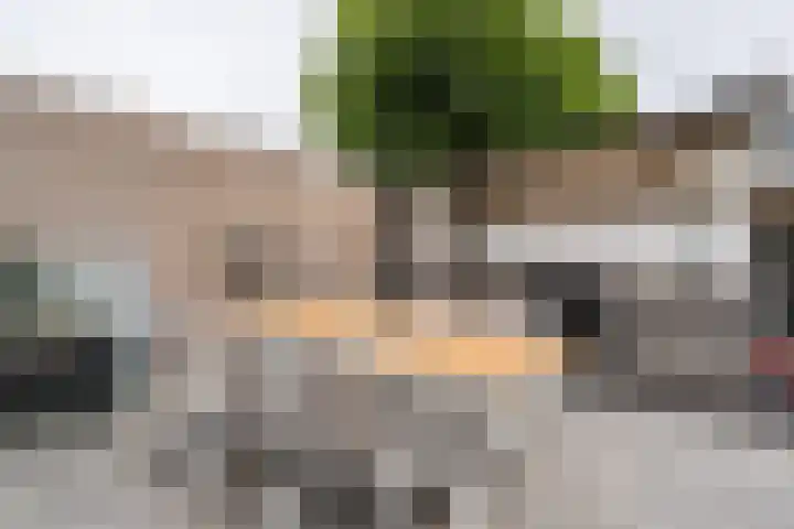 Oranjestraat 11 Nederweert thumbnail 38