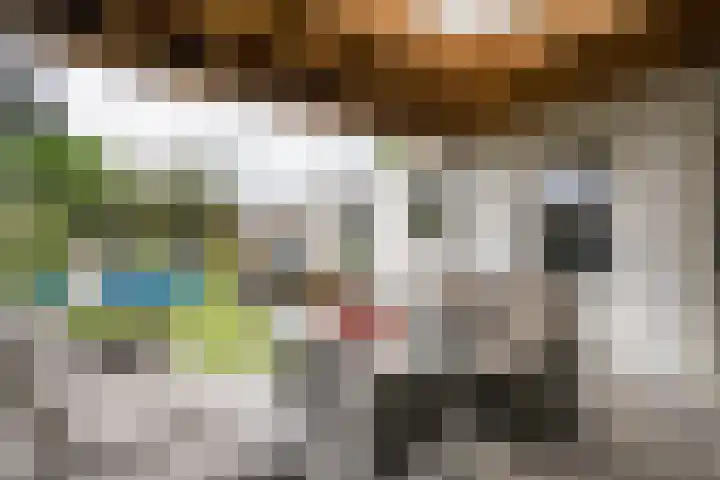 Oranjestraat 11 Nederweert thumbnail 4