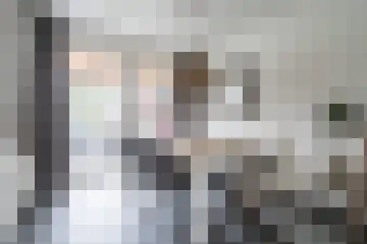 Oranjestraat 11 Nederweert thumbnail 7