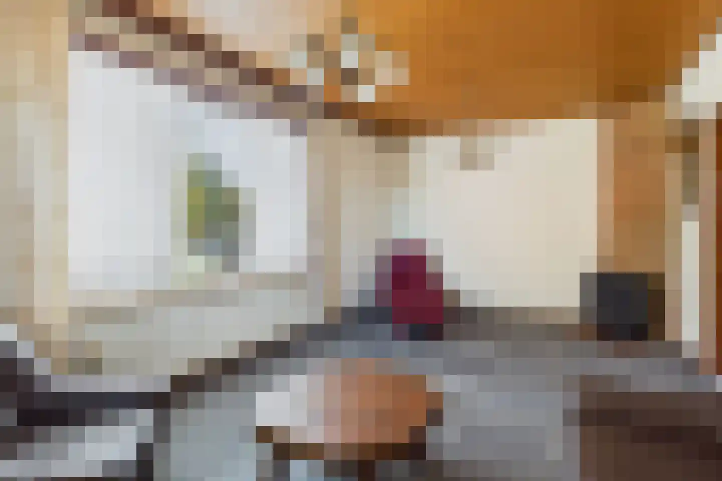 Oranjestraat 11 Sas van Gent thumbnail 10