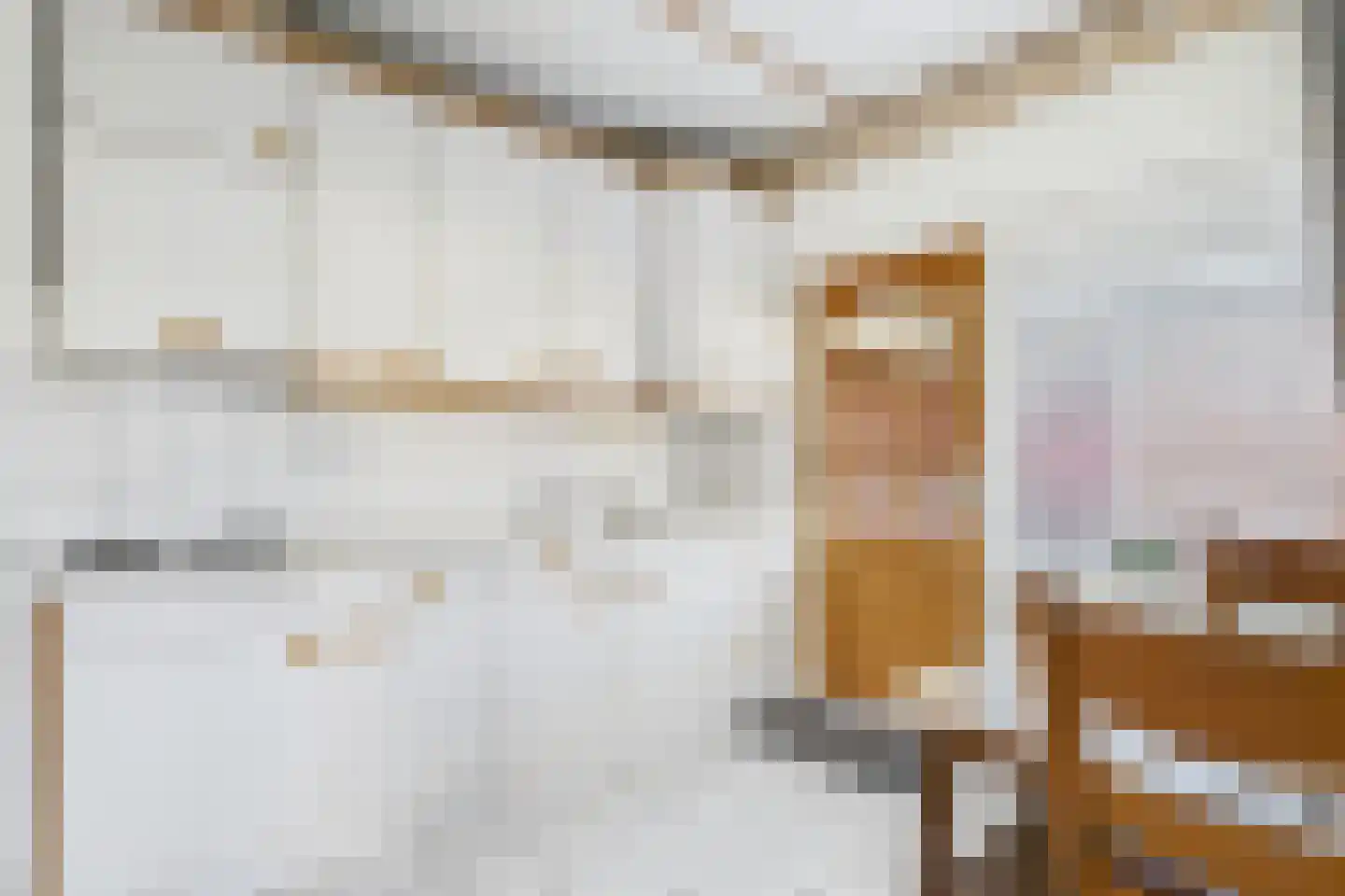 Oranjestraat 11 Sas van Gent thumbnail 11