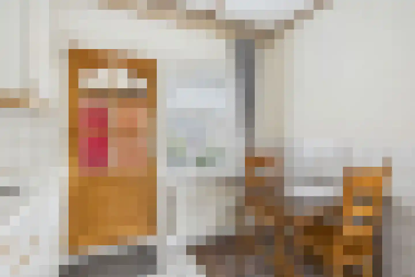 Oranjestraat 11 Sas van Gent thumbnail 12