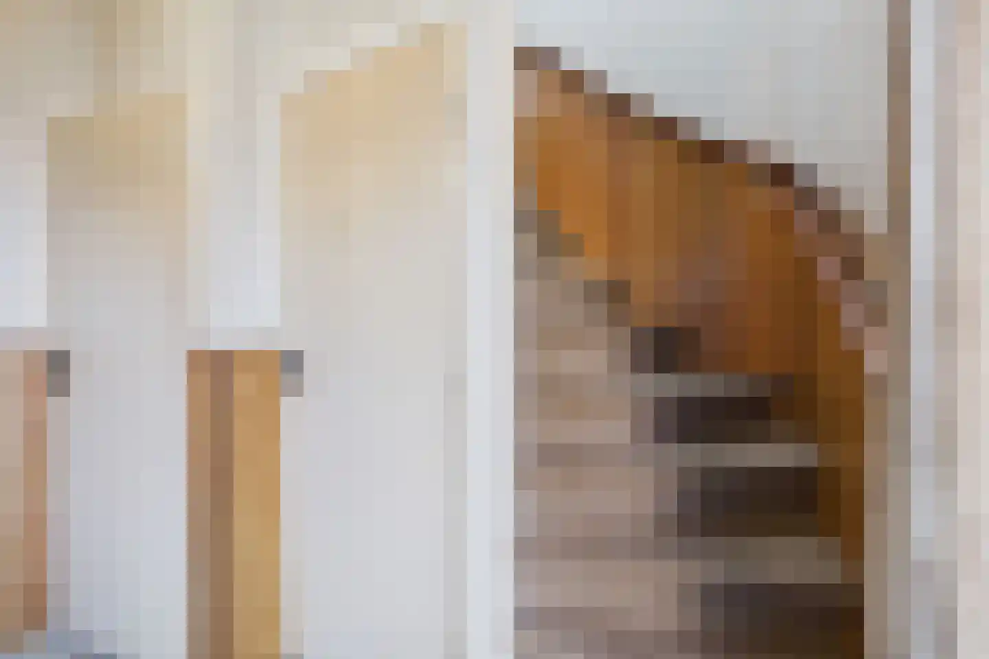 Oranjestraat 11 Sas van Gent thumbnail 16