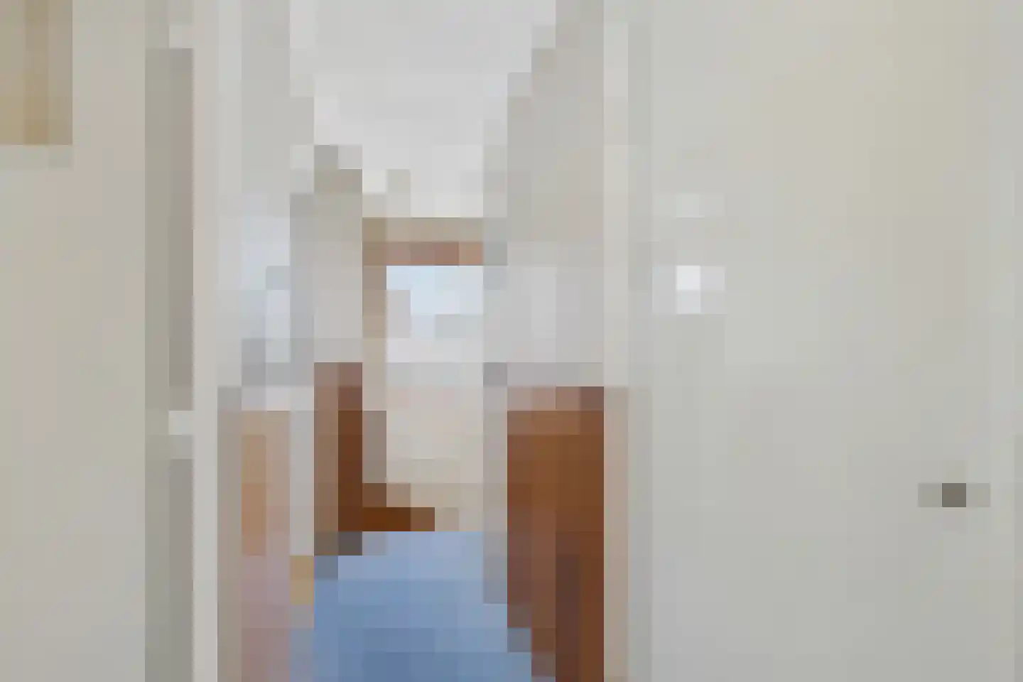 Oranjestraat 11 Sas van Gent thumbnail 17