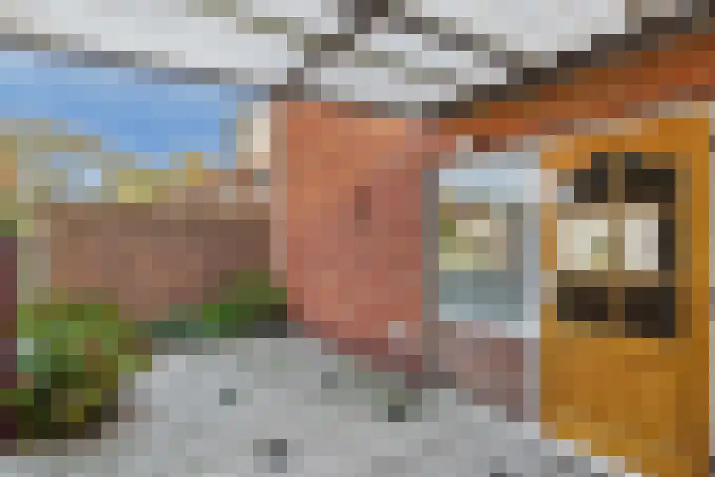 Oranjestraat 11 Sas van Gent thumbnail 28