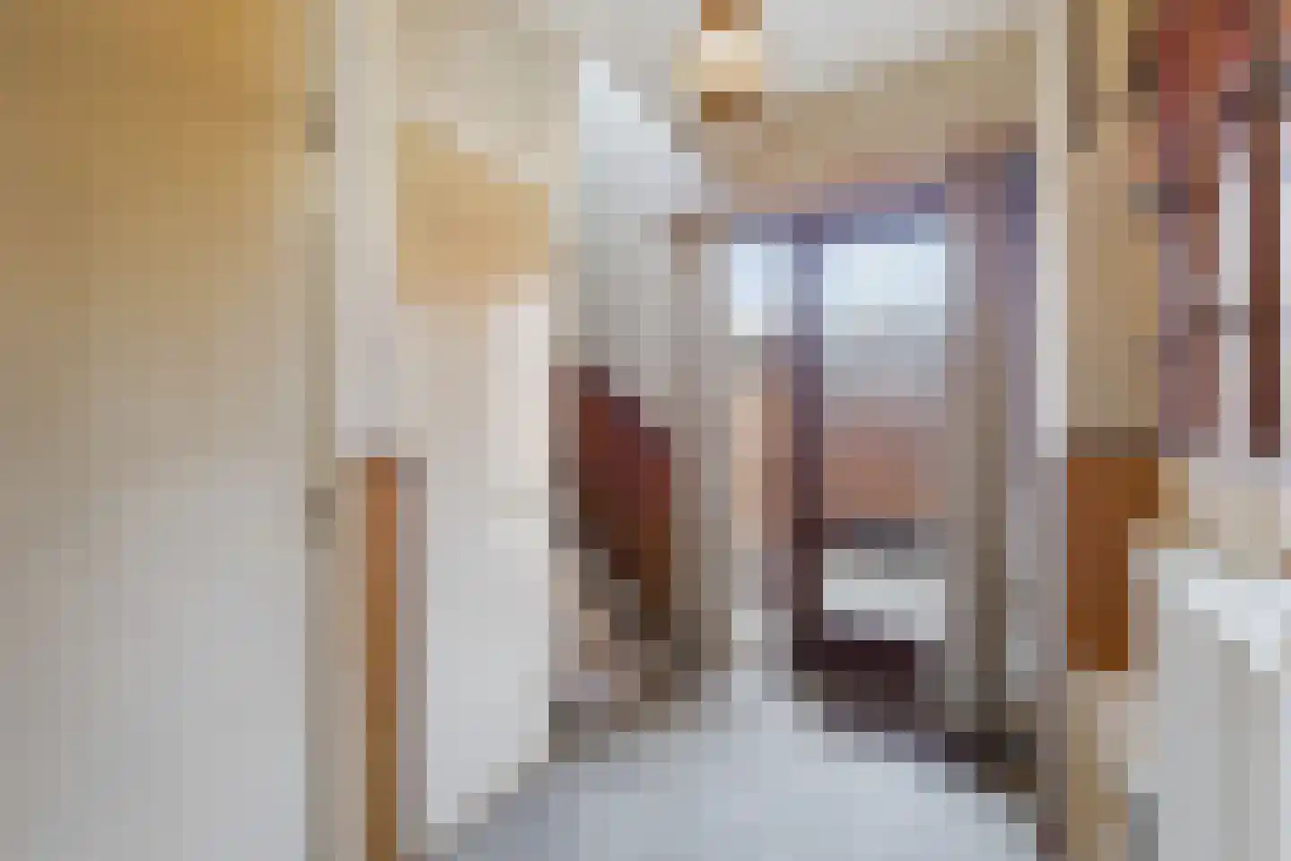 Oranjestraat 11 Sas van Gent thumbnail 4