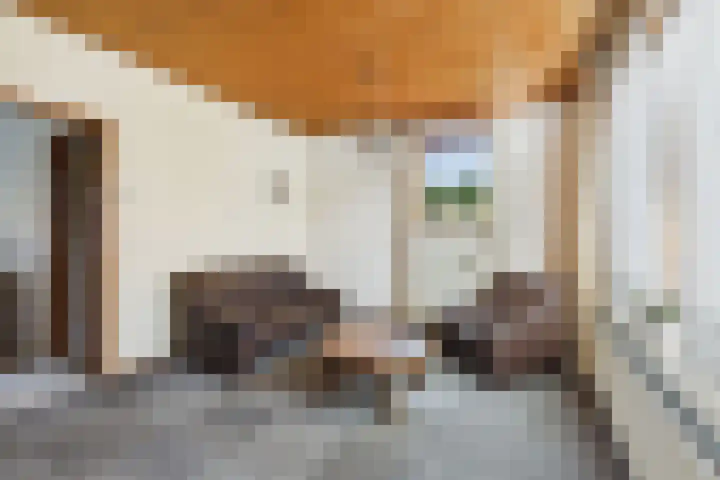 Oranjestraat 11 Sas van Gent thumbnail 8
