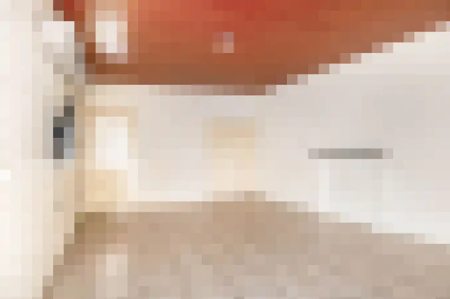 Oranjestraat 11 Sommelsdijk thumbnail 10