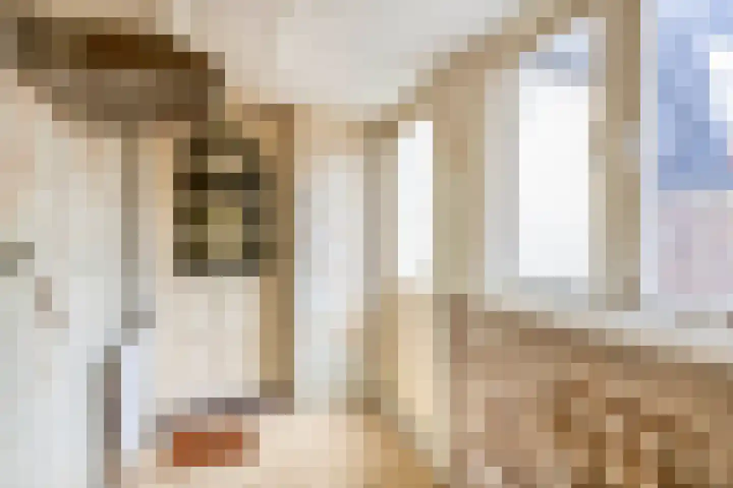 Oranjestraat 11 Sommelsdijk thumbnail 12