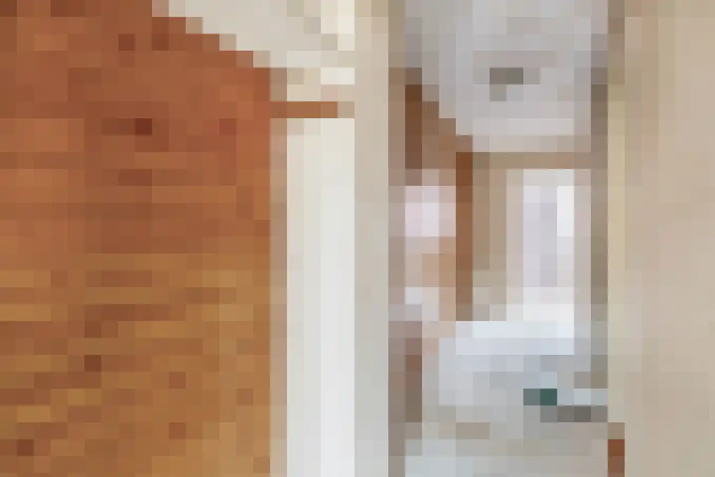 Oranjestraat 11 Sommelsdijk thumbnail 17