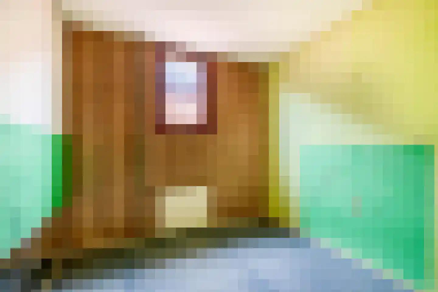 Oranjestraat 11 Sommelsdijk thumbnail 24