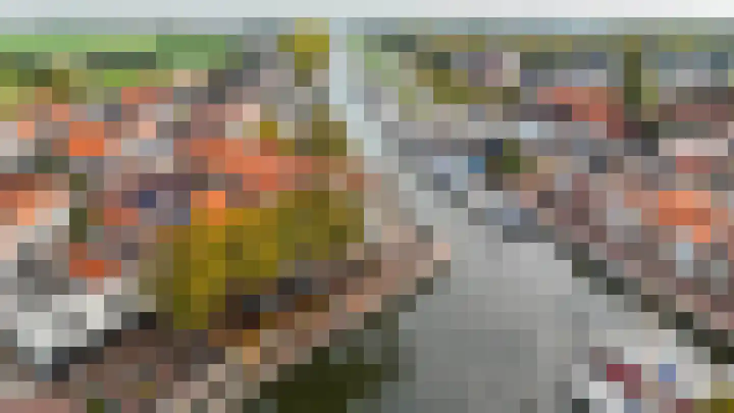 Oranjestraat 11 Sommelsdijk thumbnail 30