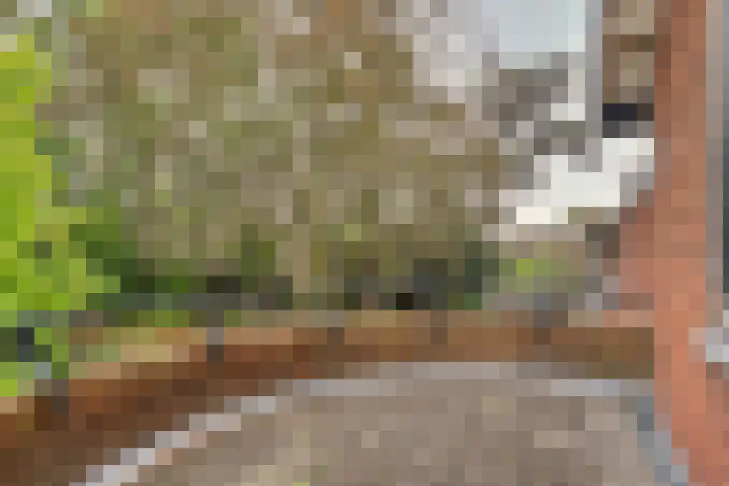 Oranjestraat 113 Ridderkerk thumbnail 33