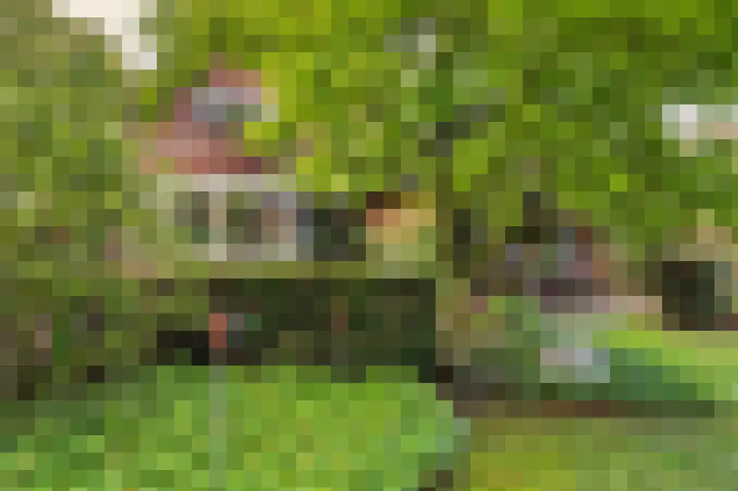 Oranjestraat 113 Ridderkerk thumbnail 64