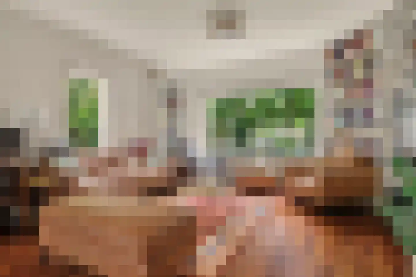 Oranjestraat 113 Ridderkerk thumbnail 8
