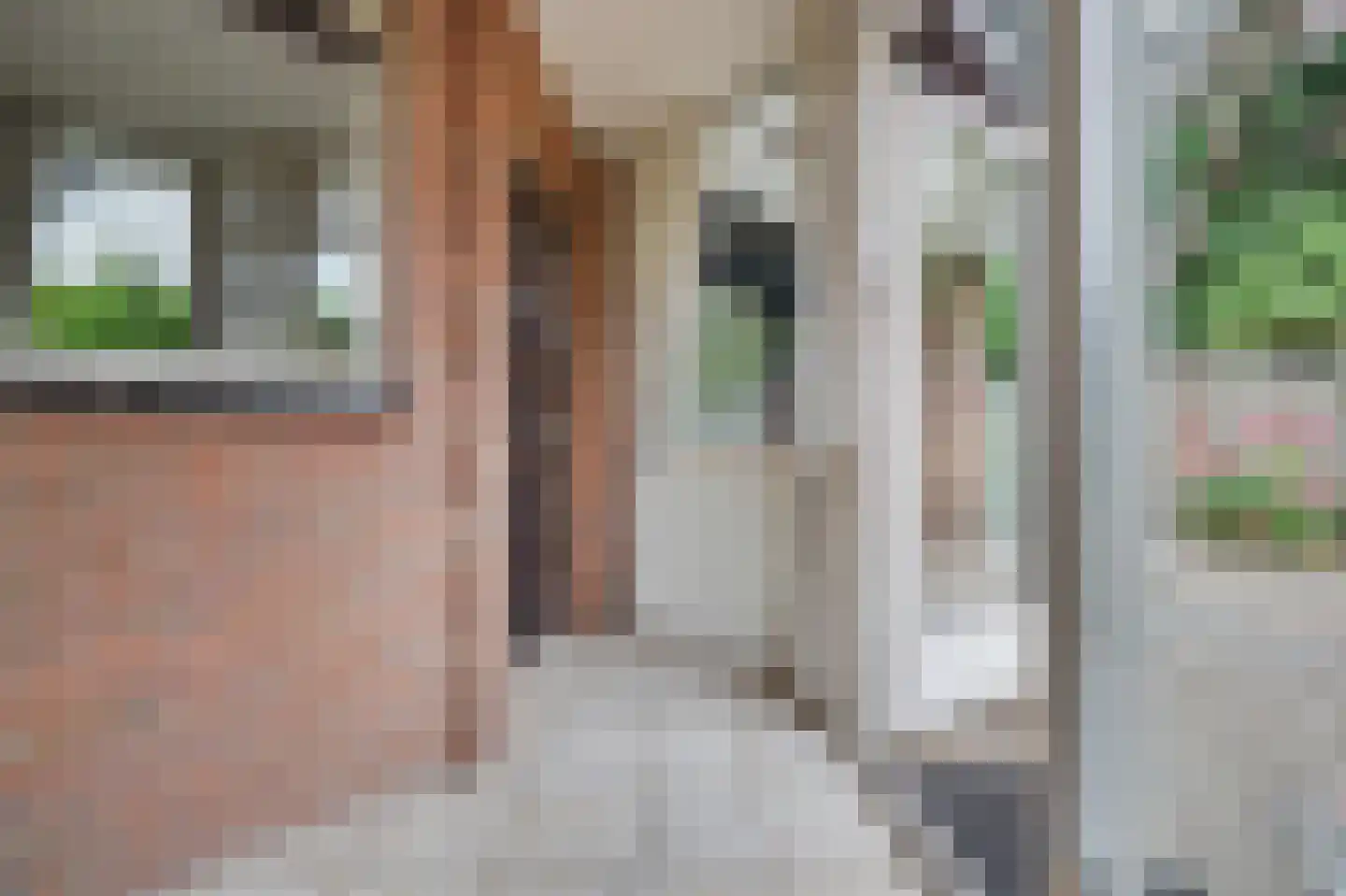 Oranjestraat 117 Ridderkerk thumbnail 40