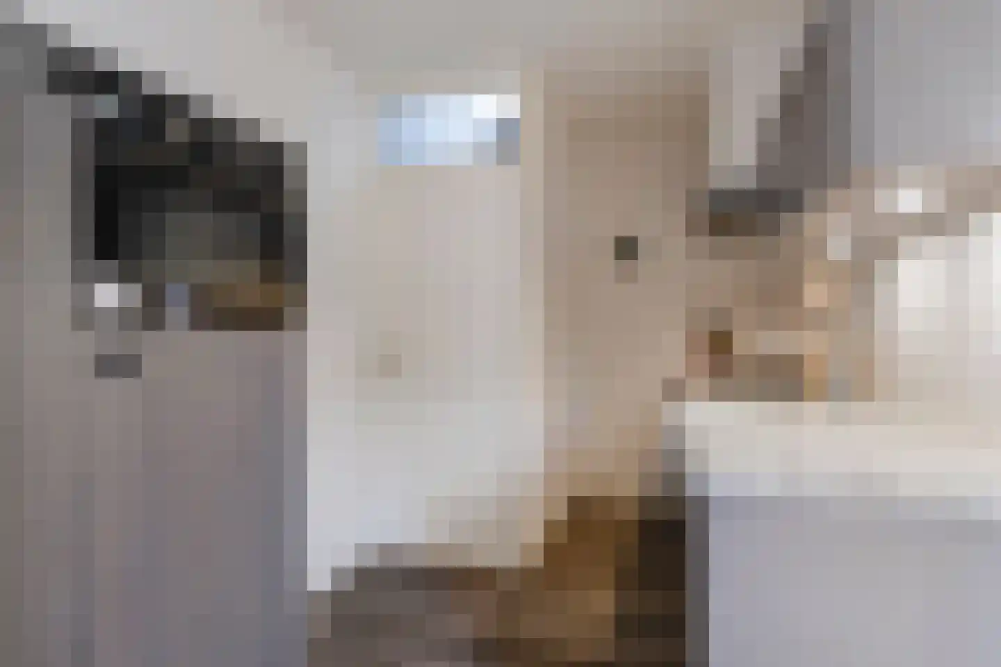 Oranjestraat 12 Eenrum thumbnail 15
