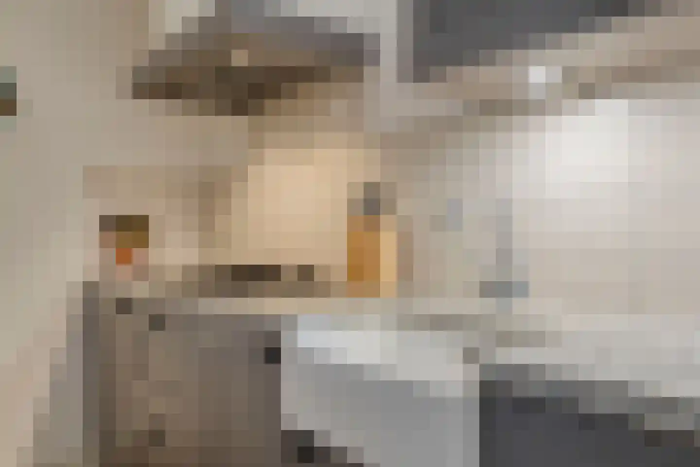 Oranjestraat 12 Eenrum thumbnail 17