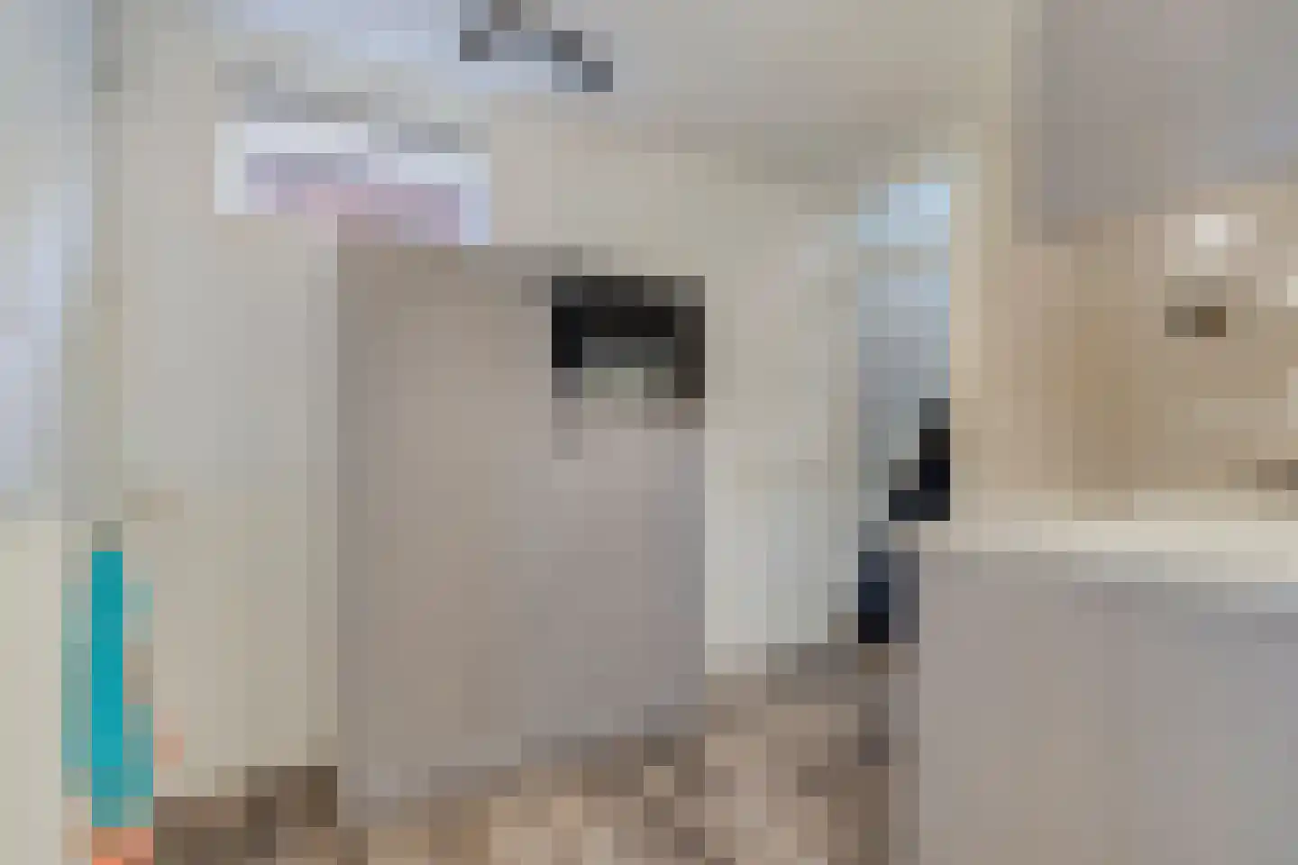 Oranjestraat 12 Eenrum thumbnail 18