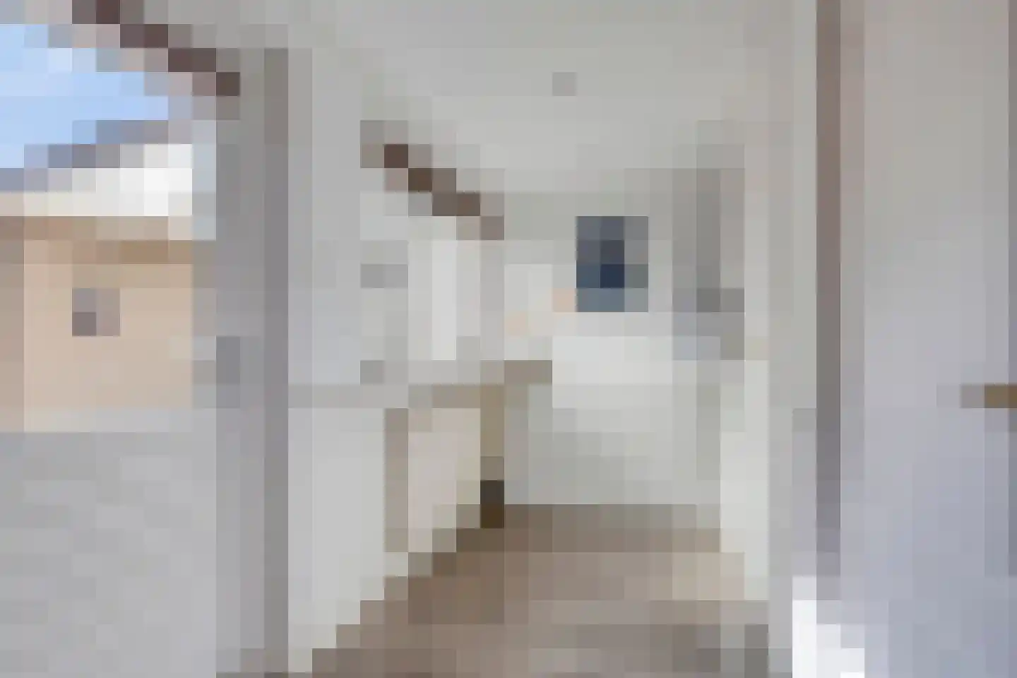 Oranjestraat 12 Eenrum thumbnail 21